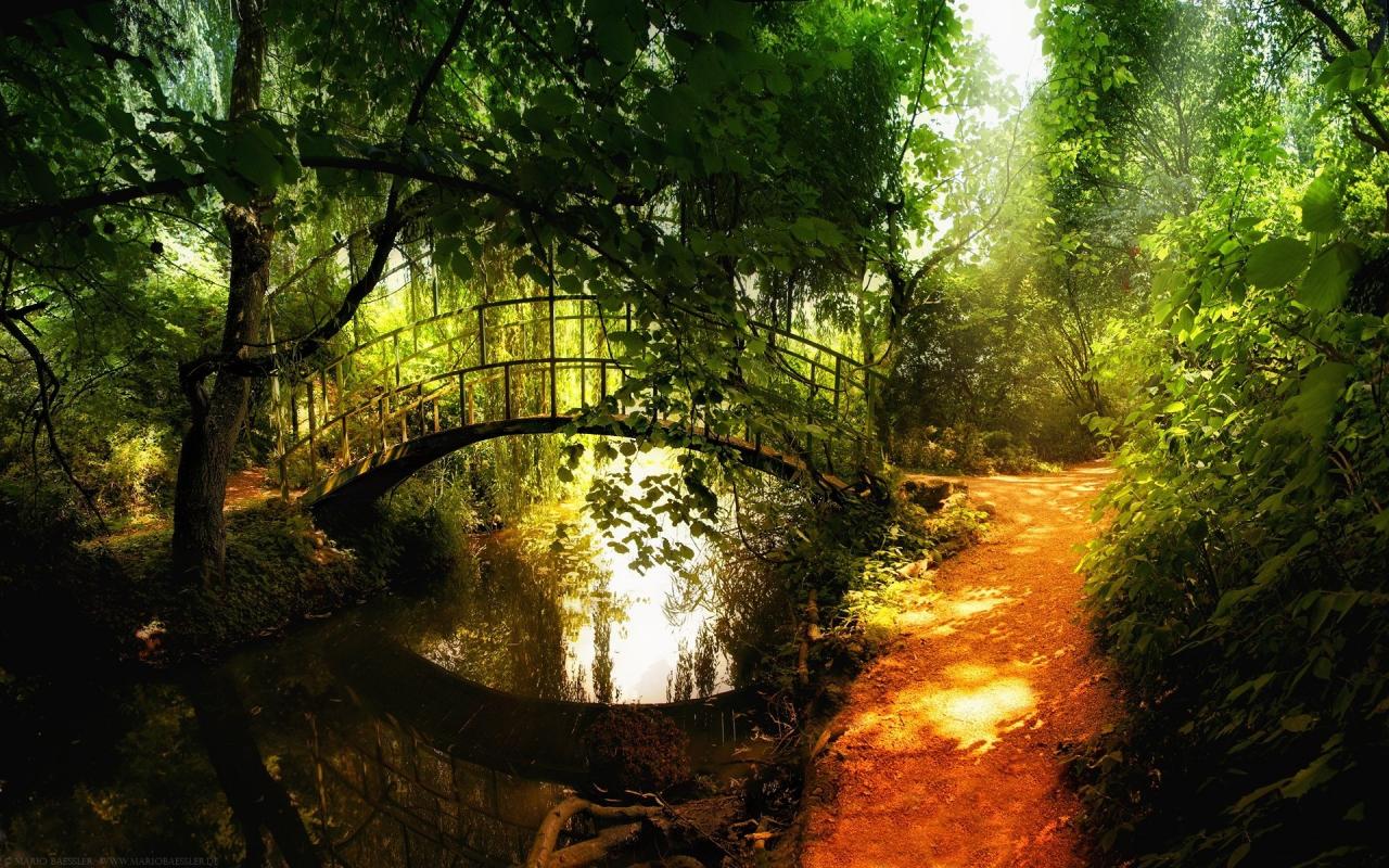 park_forest_footpath_trees_river_bridge_1280x800_hd-wallpaper-247601.jpg